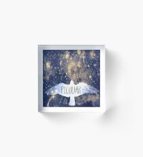 Miss Peregrine's Peculiar Galaxy Acrylic Block
