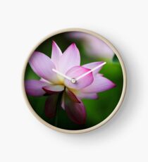 Water Lily by Winnie Clock