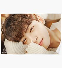 cha eunwoo Poster