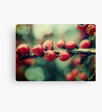 Red Winter Berries Canvas Print