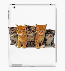 kittens iPad Case/Skin