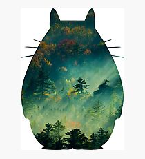 TOTORO Photographic Print