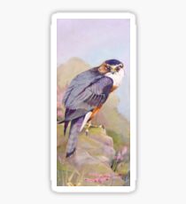 Merlin Sticker