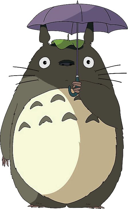 totoro merchandise amazon