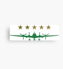 Propeller aircraft Metal Print