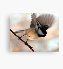 I'll Fly Away Canvas Print