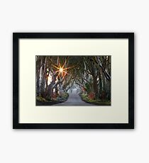 The Dark Hedges / County Antrim / Northern Ireland Framed Print