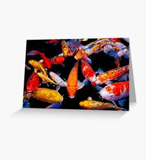 Treasures of the Temple: Kois Greeting Card