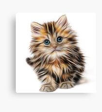 Kitten Canvas Print