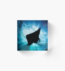 Manta Silhouette Acrylic Block