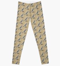 State Bird Series: Florida - Northern Mockingbird Leggings