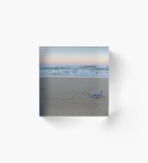 bluebottle. Acrylic Block