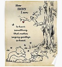 winnie the pooh - how lucky i am Poster
