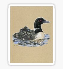 State Bird Series: Minnesota - Common Loon Sticker