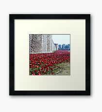 Sea of poppies -Tower of London Framed Print