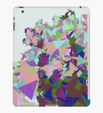 Triangle Mashup iPad Case/Skin