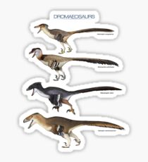 Dromaeosaurs Sticker