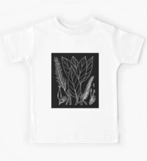 Britton And Brown Illustrated flora of the northern states and Canada 1310 Salix myricoides Kids Tee
