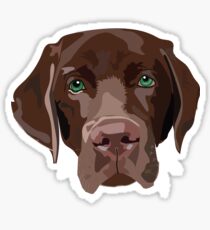 chocolate lab Sticker