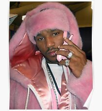 cam'ron in pink Poster