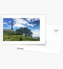 One Tree Hill - Auckland, New Zealand Postcards