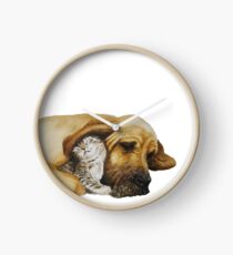 Reloj Mejores amigos - Bloodhound & gatito