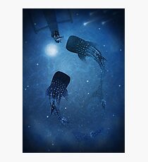 The Serenade Photographic Print