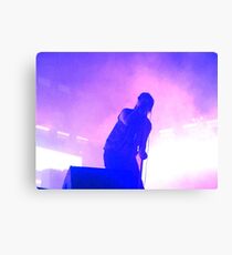 Die Striche bei Gov Ball 2016, Julian Leinwanddruck