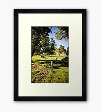 0324Jenny's Garden Framed Print