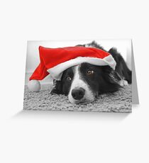 Border Collie Christmas Card - Santa's Little Helper Greeting Card