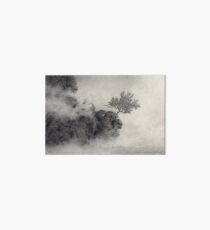 At The Shore Of A Wider Sea Art Board