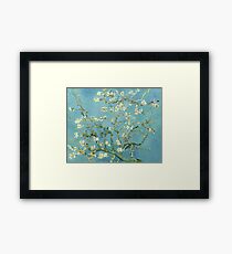 Almond Blossom by Van Gogh Framed Print