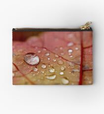 Beautiful Beads of Autumn Rain Studio Pouch
