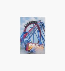 Banshee Roller Coaster Art Board