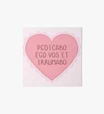 Catullus 16 Art Board