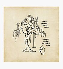 Winnie the Pooh - Friends Forever Photographic Print