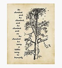 Winnie the Pooh - He climbed and he climbed Photographic Print