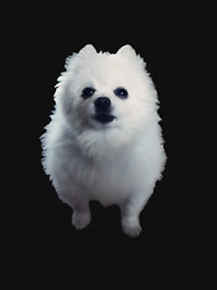 "Gabe The Dog" T-Shirt by MemerMark | Redbubble