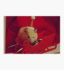 I am your little Santa Hamster Photographic Print