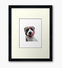 Tongue Doggo Framed Print