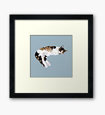 Donna Framed Print