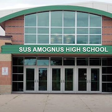 SUS AMOGNUS HIGH SCHOOL | Pin