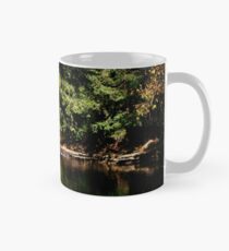 Hidden Places Mug