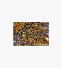 The Outstretched Arms of the Oak Art Board