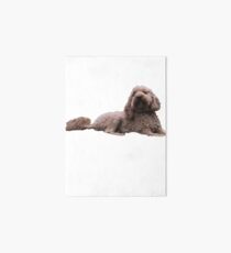 Ginger the Doodle Art Board