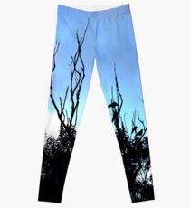Birds Tree Sky Leggings