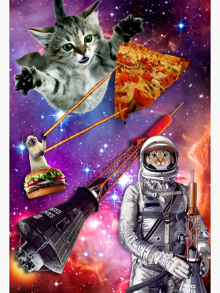 &quot;Pizza Cat in Space&quot; Poster by scooterbaby Redbubble