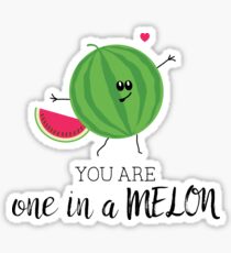 You Are One in a Million Fun Watermelon Summer Fruit Pun Sticker
