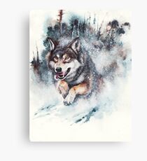 SnowStorm Canvas Print
