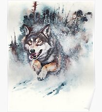 SnowStorm Poster